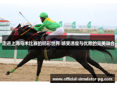 走进上海马术比赛的精彩世界 感受速度与优雅的完美融合