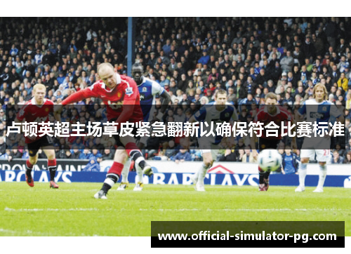 卢顿英超主场草皮紧急翻新以确保符合比赛标准